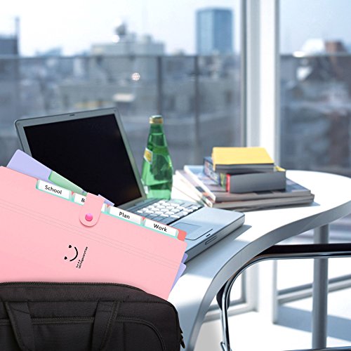 Fächermappe 4 Fächer A4 Ordner Dokumentenmappe PP Erweitern Schulordner dokumente organizer Pink Cover - 6