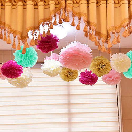 Geburtstag Dekoration, Birthday Girlande Set, 12 Seiden Papier Blumen PomPoms und 20 Quaste Girlande, 2 Dot Papier Girlande für Partei Dekorationen,Kindergeburtstag Deko - 3