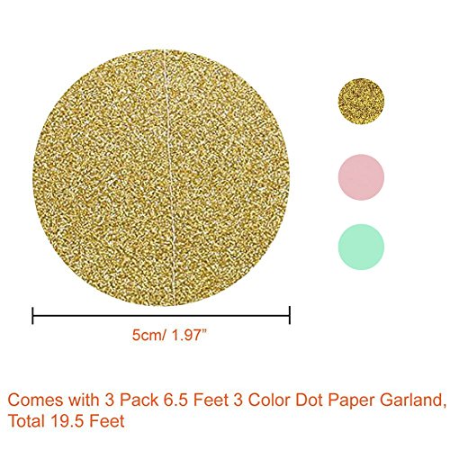 Geburtstag Dekoration, Birthday Girlande Set, 12 Seiden Papier Blumen PomPoms und 20 Quaste Girlande, 2 Dot Papier Girlande für Partei Dekorationen,Kindergeburtstag Deko - 6