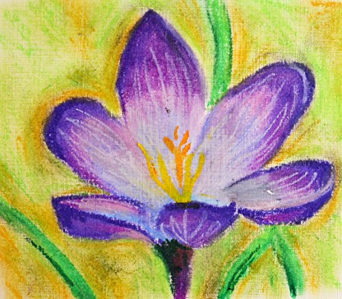 Pentel Ölpastellkreide Set à 50 Stück - 2