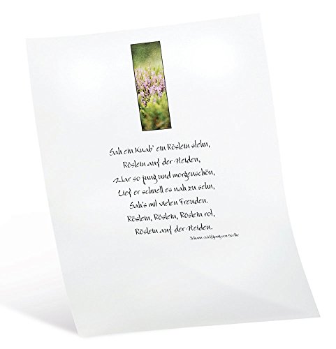 folia 87400 - Transparentpapier, DIN A4, 10 Blatt, weiß - 3