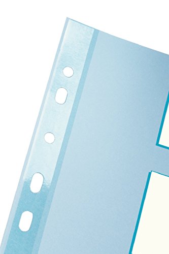 Esselte Kartonregister (Standard Blanko, A4, Karton, 12 Blatt) Mehrfarbig - 2
