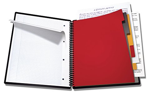 Oxford 100102777 International Organiserbook, A4+, kariert 5 mm / 4-fach gelocht / Mikroperforation, 80 Blatt, mit Gummizug -