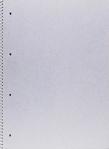 Brunnen 1067427 Notizblock / Collegeblock Student Zenart (A4, liniert Lineatur 27, 90 g/m², 80 Blatt) -